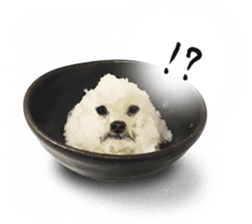 VEGETABLE DOG sticker #14086530