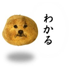 VEGETABLE DOG sticker #14086542