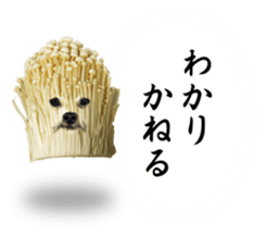 VEGETABLE DOG sticker #14086543