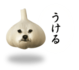 VEGETABLE DOG sticker #14086544