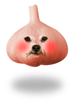 VEGETABLE DOG sticker #14086548