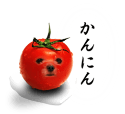 VEGETABLE DOG sticker #14086555