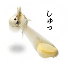 VEGETABLE DOG sticker #14086561