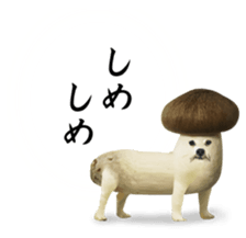 VEGETABLE DOG sticker #14086562