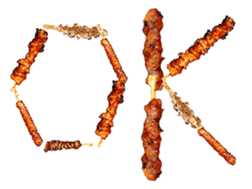 Grilled chicken sticker #14088259