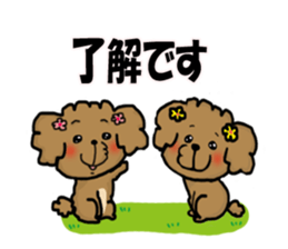 Cherry of a poodle. sticker #14088463