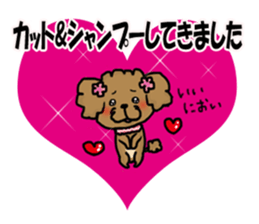 Cherry of a poodle. sticker #14088465