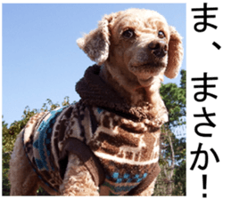 THE White Shepherd Dog! No,4 (P) sticker #14089236