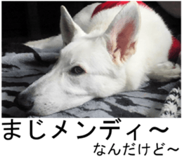 THE White Shepherd Dog! No,4 (P) sticker #14089267