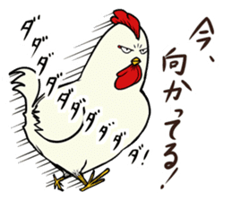 The cool chicken with little chick 2 sticker #14090055