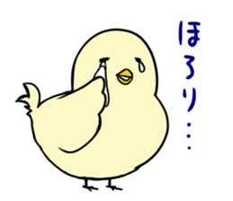 The cool chicken with little chick 2 sticker #14090073