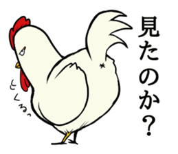 The cool chicken with little chick 2 sticker #14090084