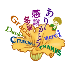 Encouraging and Healing with Flowers 3