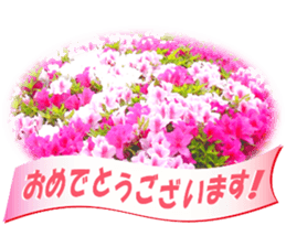 Celebration with a bouquet sticker #14090776