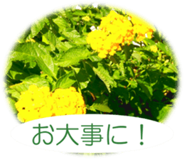 Celebration with a bouquet sticker #14090781