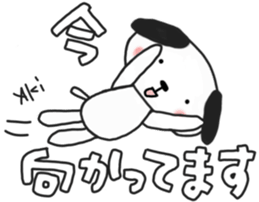 Akichan's white sticker sticker #14090991