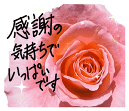Add flowers to hand-written gentle words sticker #14091039