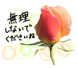 Add flowers to hand-written gentle words sticker #14091041