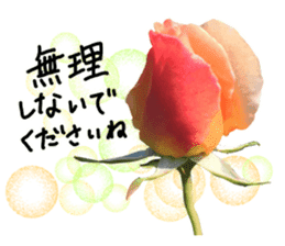 Add flowers to hand-written gentle words sticker #14091041