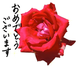 Add flowers to hand-written gentle words sticker #14091042