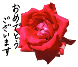 Add flowers to hand-written gentle words sticker #14091042