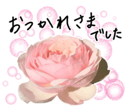 Add flowers to hand-written gentle words sticker #14091044