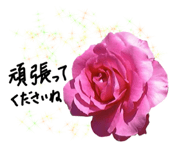 Add flowers to hand-written gentle words sticker #14091046