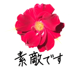 Add flowers to hand-written gentle words sticker #14091048