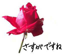 Add flowers to hand-written gentle words sticker #14091049