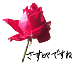 Add flowers to hand-written gentle words sticker #14091049