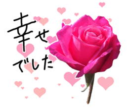 Add flowers to hand-written gentle words sticker #14091050