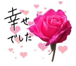 Add flowers to hand-written gentle words sticker #14091050