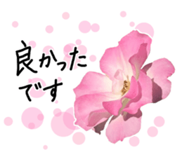 Add flowers to hand-written gentle words sticker #14091052