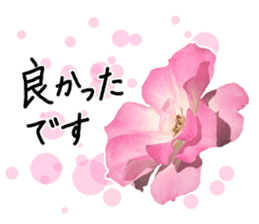 Add flowers to hand-written gentle words sticker #14091052