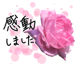 Add flowers to hand-written gentle words sticker #14091053