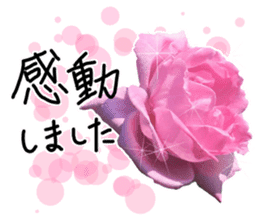 Add flowers to hand-written gentle words sticker #14091053