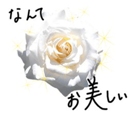 Add flowers to hand-written gentle words sticker #14091054