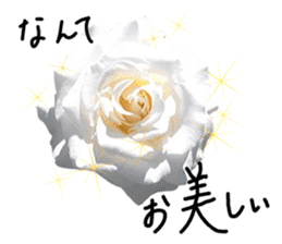 Add flowers to hand-written gentle words sticker #14091054