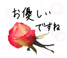 Add flowers to hand-written gentle words sticker #14091055