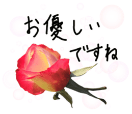 Add flowers to hand-written gentle words sticker #14091055