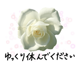 Add flowers to hand-written gentle words sticker #14091058