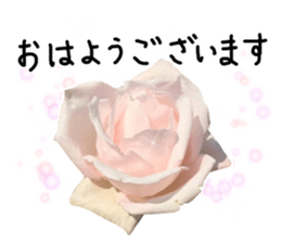 Add flowers to hand-written gentle words sticker #14091060