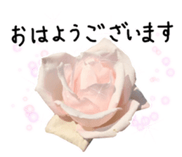 Add flowers to hand-written gentle words sticker #14091060