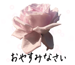 Add flowers to hand-written gentle words sticker #14091061