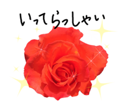 Add flowers to hand-written gentle words sticker #14091063