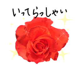 Add flowers to hand-written gentle words sticker #14091063