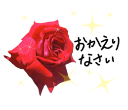 Add flowers to hand-written gentle words sticker #14091064