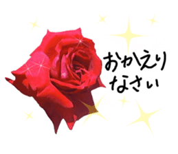 Add flowers to hand-written gentle words sticker #14091064