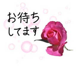 Add flowers to hand-written gentle words sticker #14091066