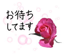 Add flowers to hand-written gentle words sticker #14091066